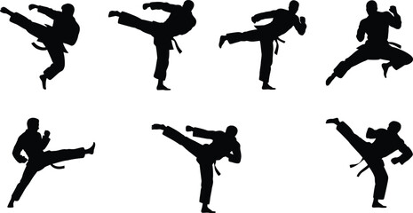Martial arts silhouettes of athletes performing dynamic high kicks and striking poses in traditional uniform belt training vector illustration design © Arif Creatives