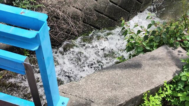 Blue railing frames rushing stream water. Concrete blocks line wild, green vegetation. Current churns white, lively, uncontrolled. Ideal for nature, urban runoff, or environmental themes