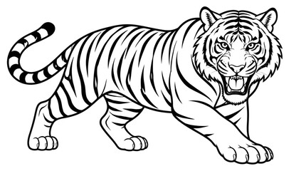 Obraz premium Tiger in Midstride with Open Mouth Showing Teeth