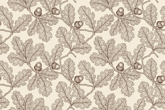 Detailed botanical seamless pattern featuring oak tree branches with textured leaves and acorns in a vintage hand-drawn engraving style