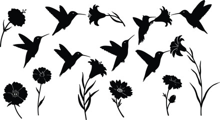 Hummingbird and Flower Silhouette Vector Collection – Elegant Flying Birds with Blooming Flowers for Nature, Wildlife, Floral Design, and Decorative Art Projects © Manik