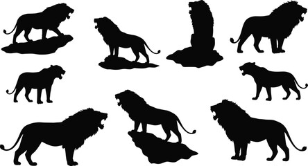 Walrus silhouette collection vector set, arctic marine animal illustration, sea wildlife design, ocean creature artwork, aquatic mammal graphic for nature themes © Manik