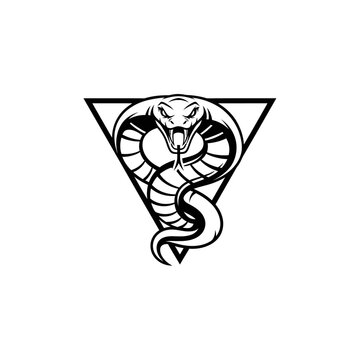 Aggressive Cobra Snake Emblem, Triangle Geometric Design, Fierce Reptile Logo
