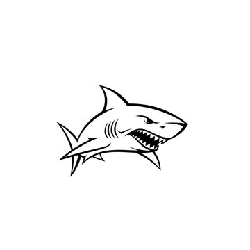 Aggressive Shark Illustration, Ocean Predator with Sharp Teeth, Fierce Marine Animal