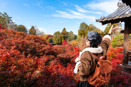 Solo female tourist enjoying the stunning red maple leaves and a Japanese-style garden scenic view at  Tofuku-ji Temple in Kyoto, Japan