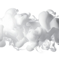 Obraz premium Soft white ink cloud swirling plume isolated white background