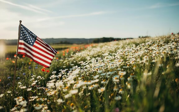 Small american flag planted in a field of white daisies under a clear blue sky