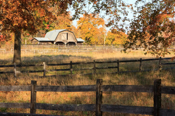 Rural autumn landscape with a barn in the Hudson River Valley, near Rhinebeck, New York © Daniel