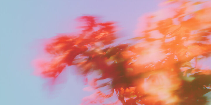 紅葉, 秋, もみじ, 楓, 抽象, アート, アブストラクト, 背景, 壁紙, 日本, 和, 秋の風景, 秋色, 紅葉狩り, 紅葉シーズン, 赤, オレンジ, 落ち葉, 木の葉, 葉っぱ, ぼかし, ブラー, ソフトフォーカス, パステル, グラデーション, 淡い, 幻想的, 夢, ドリーミー, ロマンチック, 詩的, 芸術, ペイント, 水彩, 絵画風, 秋広告, ハロウィン, 十月, 十一月