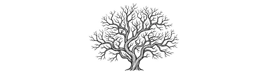 Fototapeta premium Detailed Ink Drawing of a Bare Winter Tree Silhouette