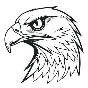 eagle head vector