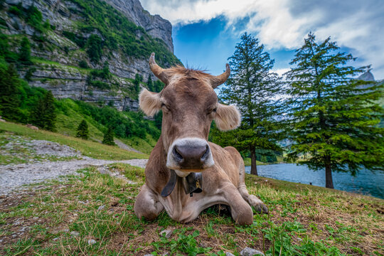 Landschaft im Appenzeller Land