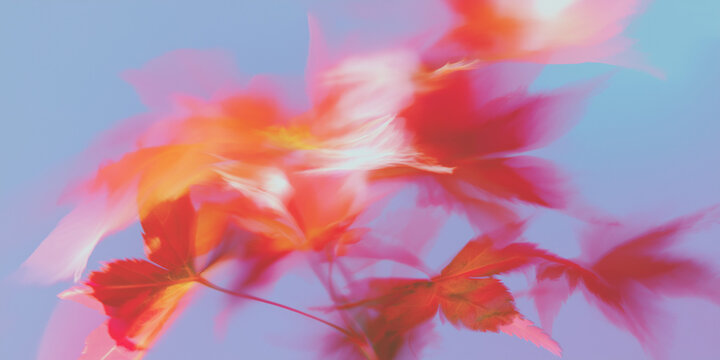 紅葉, 秋, もみじ, 楓, 抽象, アート, アブストラクト, 背景, 壁紙, 日本, 和, 秋の風景, 秋色, 紅葉狩り, 紅葉シーズン, 赤, オレンジ, 落ち葉, 木の葉, 葉っぱ, ぼかし, ブラー, ソフトフォーカス, パステル, グラデーション, 淡い, 幻想的, 夢, ドリーミー, ロマンチック, 詩的, 芸術, ペイント, 水彩, 絵画風, 秋広告, ハロウィン, 十月, 十一月