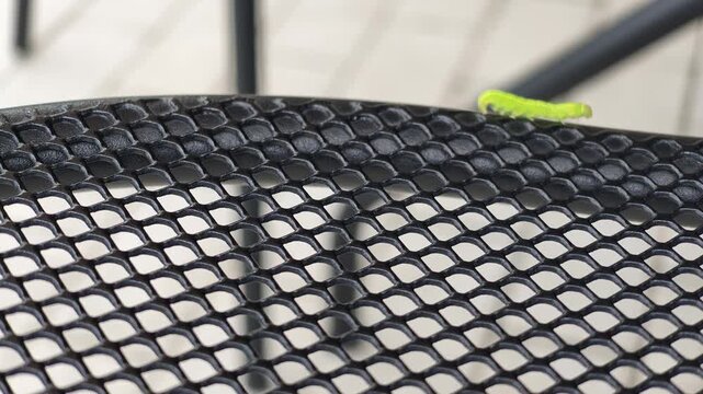 Tiny green caterpillar crawls across black mesh surface. Caterpillar moves slowly, exploring metal grid with curiosity. Its bright color contrasts sharply against dark pattern