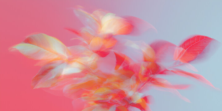 紅葉, 秋, もみじ, 楓, 抽象, アート, アブストラクト, 背景, 壁紙, 日本, 和, 秋の風景, 秋色, 紅葉狩り, 紅葉シーズン, 赤, オレンジ, 落ち葉, 木の葉, 葉っぱ, ぼかし, ブラー, ソフトフォーカス, パステル, グラデーション, 淡い, 幻想的, 夢, ドリーミー, ロマンチック, 詩的, 芸術, ペイント, 水彩, 絵画風, 秋広告, ハロウィン, 十月, 十一月