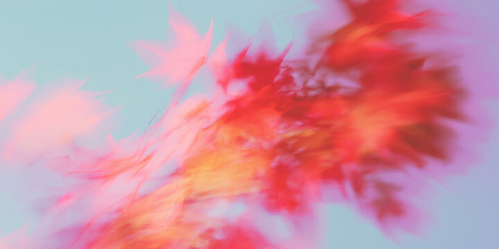 紅葉, 秋, もみじ, 楓, 抽象, アート, アブストラクト, 背景, 壁紙, 日本, 和, 秋の風景, 秋色, 紅葉狩り, 紅葉シーズン, 赤, オレンジ, 落ち葉, 木の葉, 葉っぱ, ぼかし, ブラー, ソフトフォーカス, パステル, グラデーション, 淡い, 幻想的, 夢, ドリーミー, ロマンチック, 詩的, 芸術, ペイント, 水彩, 絵画風, 秋広告, ハロウィン, 十月, 十一月