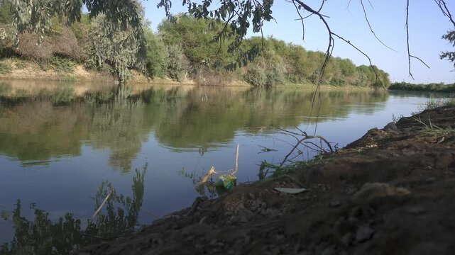 Water Canal with Tugai Forest on the Opposite Bank