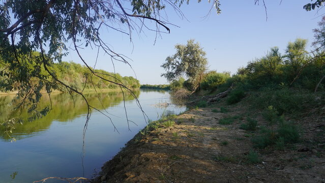 Water Canal with Tugai Forest on the Opposite Bank