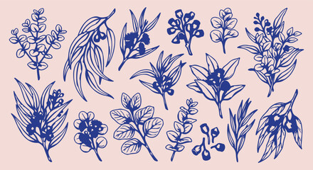 hand drawn eucalyptus seamless pattern, vintage olive branch vector illustration, botanical foliage line art background, herbal leaf sketch wallpaper, olive leaf textile design print, hand drawn botan © Geetaroy