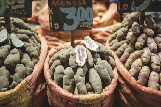 Potato variety, Mercado Mayorista, Huancayo, PeruIca Street, Huancayo, Peru