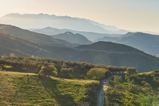 Hilly spring landscape with trees against the light in the late afternoon, mountains in the background, Lefka Ori, White Mountains, mountain massif, west, Crete, Greece