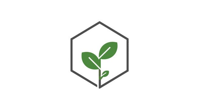 Minimalist Green Leaf In Hexagon Framework Conceptualizing Freshness And Growth