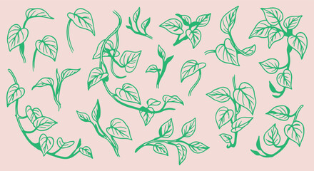 Fototapeta premium hand drawn ivy vine seamless pattern, vintage green ivy leaf vector, botanical climbing plant line art background, ivy leaf sketch fabric print design, green vine foliage wallpaper pattern, hand drawn