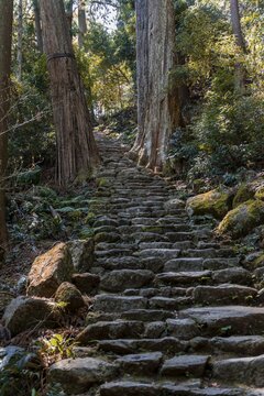 Old stony path, pilgrim path Kumano Kodō, Nachisan, Wakayama, Japan