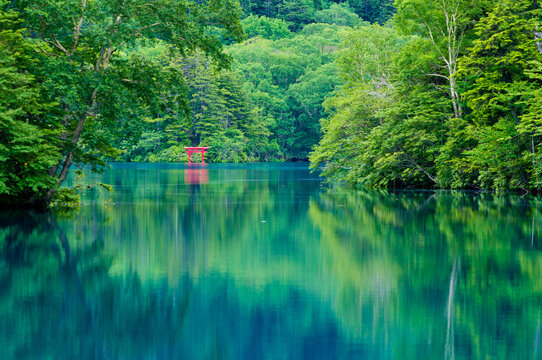 Red Torii Gate Reflected on an Emerald Green Lake in Japan 
