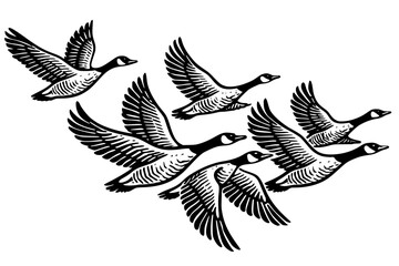 Black silhouettes of six geese flying in formation, symbolizing migration, teamwork, and nature in bold vector art. © Suriya