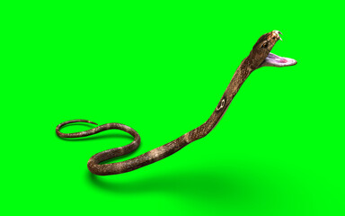 Naklejka premium High-quality 3D illustration of an aggressive brown cobra snake raising its head with open fangs, isolated on a green screen background for easy keying and VFX compositing.