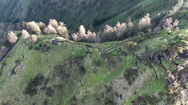 High angle view of Mt.Penanjakan (2,770 m) a viewpoint located in the Bromo Tengger Semeru National Park, East Java, offers spectacular views of Mount Bromo and its surroundings.