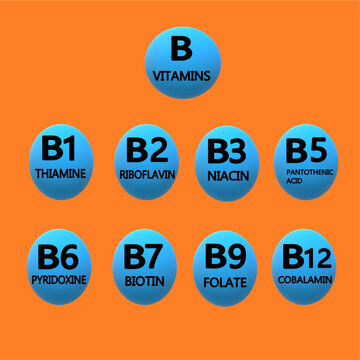 B vitamin types and their names separate b vitamins health illustration.eps
