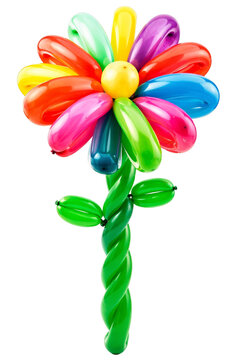Colorful Rainbow Balloon Flower with Stem and Leaves Isolated on Transparent Background