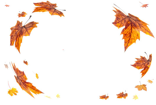 autumn background falling leaves space for text - 3d rendering