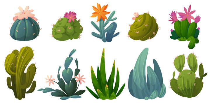 Cute cactuses, succulents and desert plants
