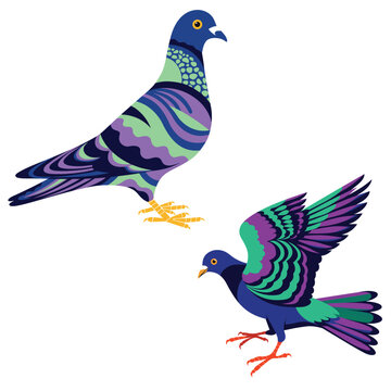 Colorful Decorative Pigeon Vector Illustration Set