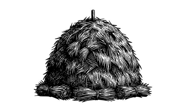 Vintage Engraved Haystack Straw Vector Illustration