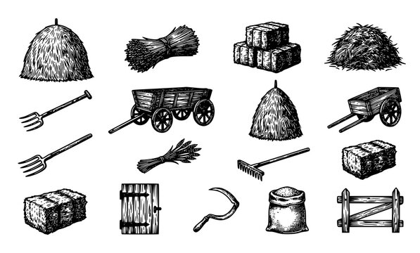 Vintage Farm Hay and Straw Engraving Vector Collection