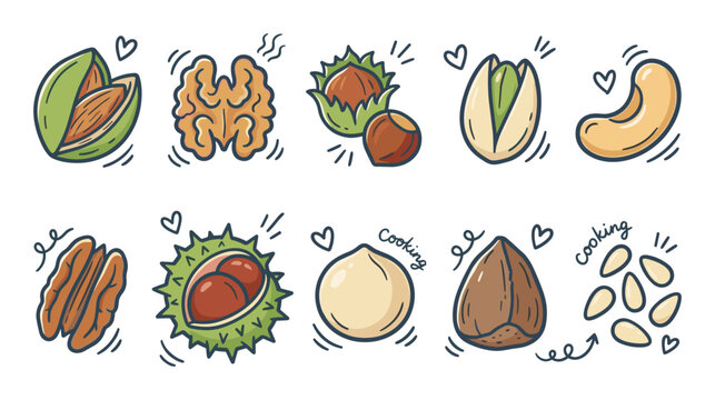 Hand-drawn collection of assorted nuts and seeds for food design