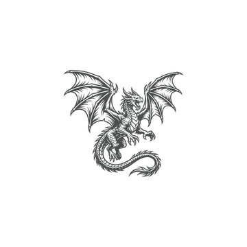 Powerful Flying Dragon Vector Illustration in Engraving Style