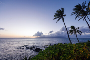 Stunning Hawaii ocean sunset with silhouettes of palm trees swaying against a vibrant sky © Evgeny Karandaev