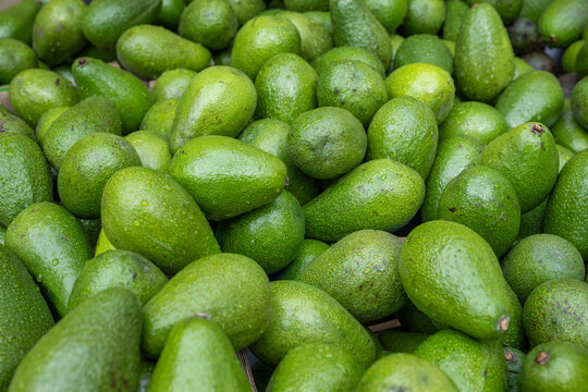 Selling avocados at a farmers market