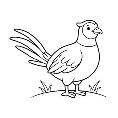Fototapeta premium Green Pheasant Black Outline Coloring Page for Kids | Japanese Bird Line Art