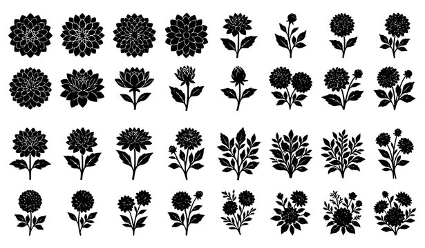 Elegant Dahlia Flower Black Silhouette Vector Set with Blooming Flowers Stems and Lush Leaves
