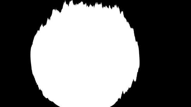 Abstract black ink splatter and watercolor bloom transition on white background, flowing brush stroke texture, fluid art reveal, organic ink leak animation, seamless professional 4K footage