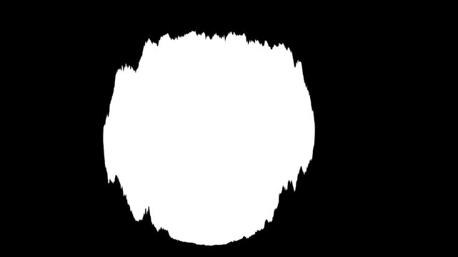 Abstract black ink splatter and watercolor bloom transition on white background, flowing brush stroke texture, fluid art reveal, organic ink leak animation, seamless professional 4K footage