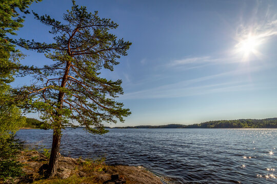 Beautiful summer day at Lake Ladoga coast with sunbeams reflecting on the water surface and green trees on the cliffs