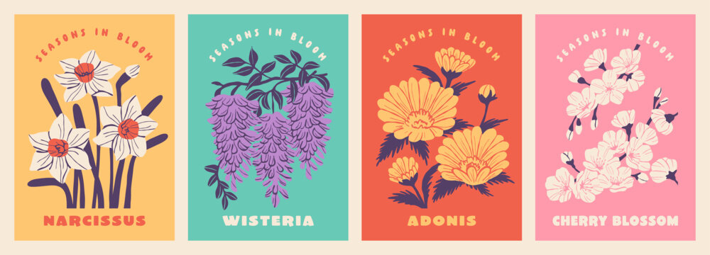Botanical Flower Illustration Set（Narcissus・Wisteria・Adonis・Cherry Blossom）