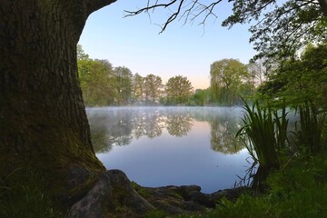 Gryfino, staw wśród drzew, wchód słońca  © Adam